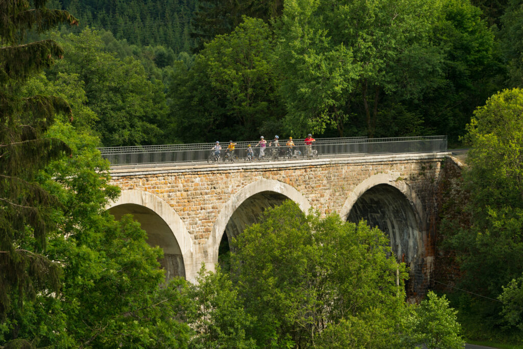 Vennbahn 128 Reichensteiner Viadukt©vennbahn.eu.jpg