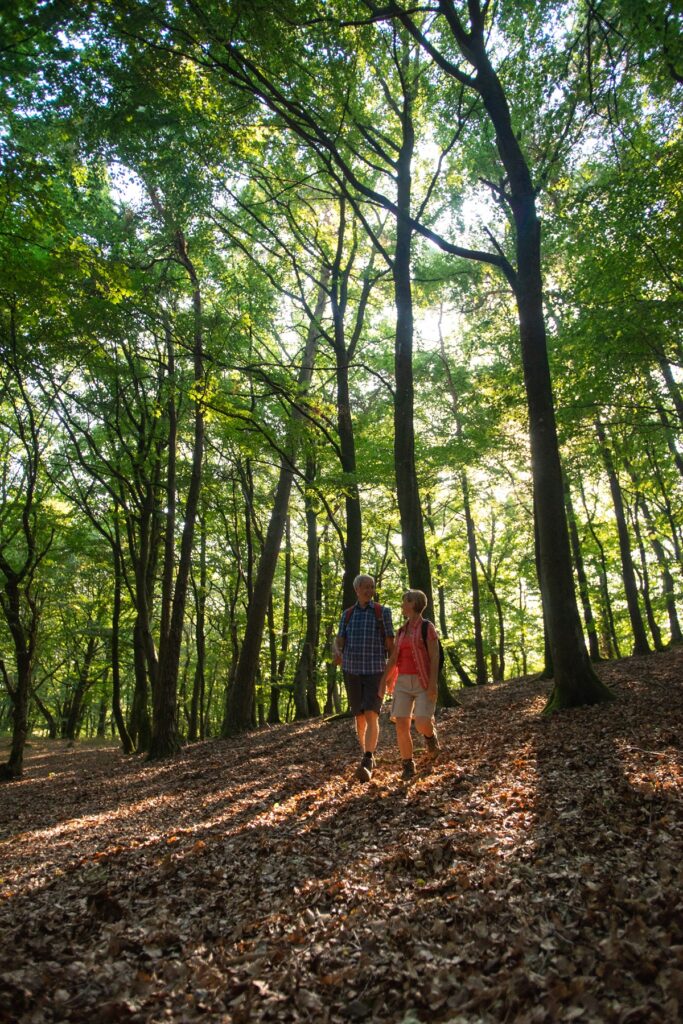 2018-08-03 Wacholderheide Kirchwald St. Jost EDIT 30% komp © Laura Rinneburger (22)