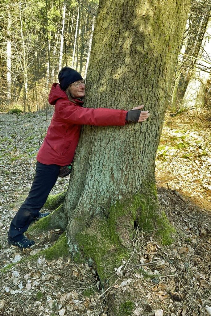 waldbaden-baum-spueren