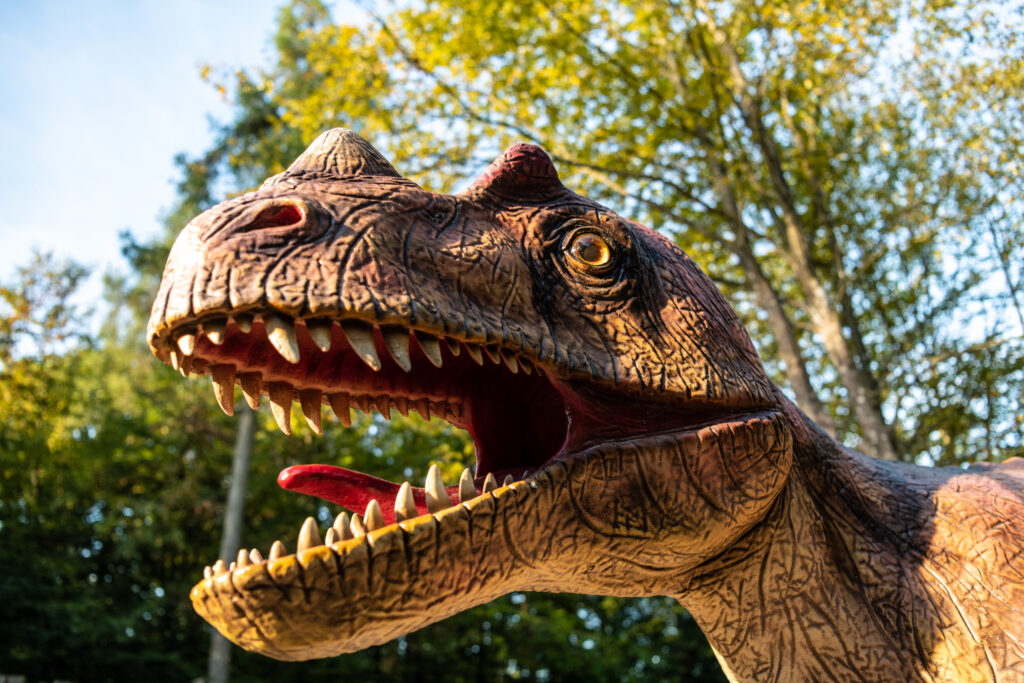 DinosaurierparkTeufelsschlucht_Ceratosaurus_FotoDominikKetz